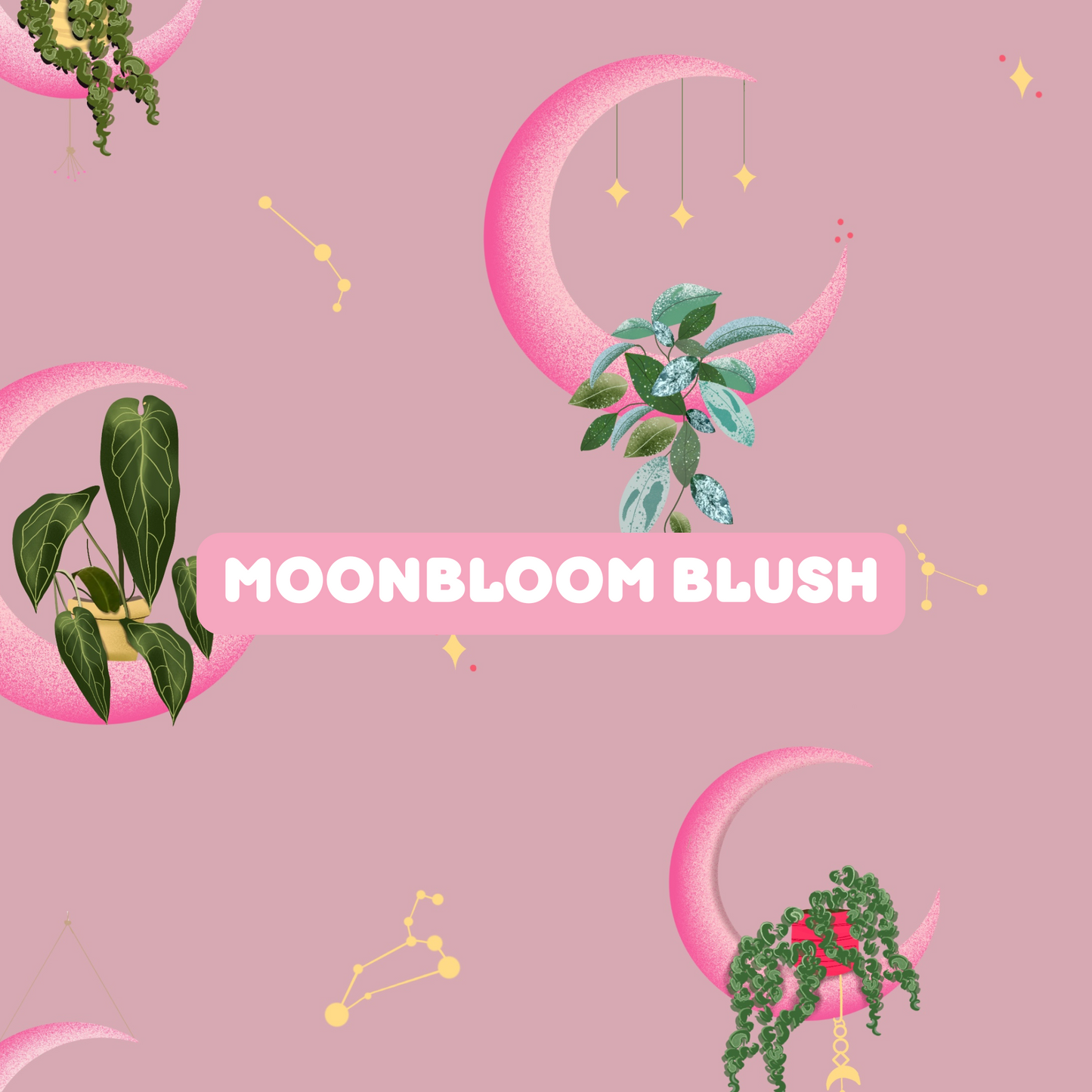 The Luna Dress Preorder